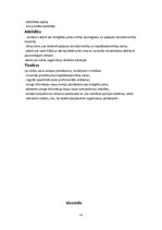 Biznesa plāns 'Ātrās ēdināšanas restorāns', 11.