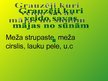 Prezentācija 'Sūnu izmantošana dzīvnieku pasaulē', 5.