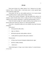 Prakses atskaite 'Prakse uzņēmumā "Riga Airport Commercial Development"', 4.