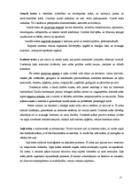 Referāts 'Krāsas un krāsu terapija', 17.