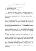 Eseja 'Konkurentu mājas lapu analīze', 1.