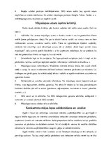 Eseja 'Konkurentu mājas lapu analīze', 2.