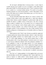 Eseja 'Konkurentu mājas lapu analīze', 4.