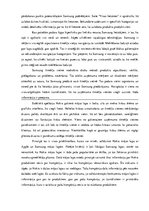 Eseja 'Konkurentu mājas lapu analīze', 5.