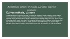 Prezentācija 'Prezentācija par izlasīto grāmatu Justeins Gorders «Sofijas pasaule»', 7.