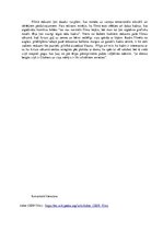 Eseja 'Filmas "Džokers" analīze', 4.