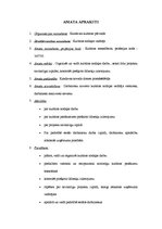 Paraugs 'Amata apraksts - kultūras menedžeris', 1.