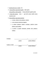 Paraugs 'Amata apraksts - kultūras menedžeris', 2.