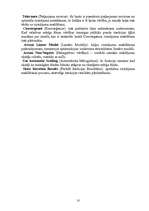 Referāts 'Transporta uzdevumi ekonomikā', 10.