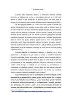 Referāts 'Dzimumu nevienlīdzība', 6.