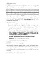 Konspekts 'Filosofija. Lekciju pieraksti', 5.