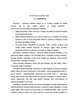 Referāts 'Motivācijas sistēmas efektivitātes novērtēšana', 13.