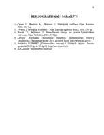 Referāts 'Uzņēmuma vadīšana mainīgas ārējās vides apstākļos', 29.