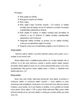 Konspekts 'Gramatvedības kārtošana kultūras nozares uzņēmumos', 17.