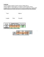 Paraugs 'Datormācība', 100.