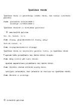 Konspekts 'Latviešu valoda', 1.