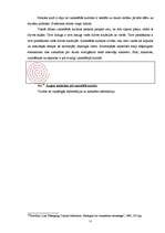 Referāts 'Trompenāra kultūras dimensiju ietekme uz starptautisko biznesa pārrunu vadīšanu', 11.