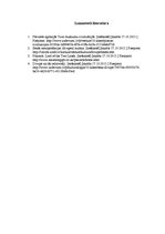 Konspekts 'Austrumu un Rietumu kultūras salīdzinājums', 5.