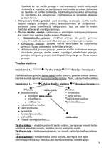 Konspekts 'Tiesību teorija', 8.