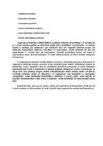 Referāts 'Organizācijas problēmas attīstības izpētes plāns', 4.