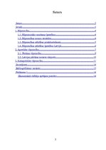 Referāts 'Tautsaimniecības nozares apskats - apstrādes rūpniecība', 2.