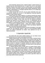 Referāts 'Tautsaimniecības nozares apskats - apstrādes rūpniecība', 7.