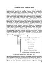 Diplomdarbs 'Pasažieru aviopārvadājumu attīstības perspektīvas Latvijā', 13.
