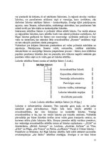 Diplomdarbs 'Pasažieru aviopārvadājumu attīstības perspektīvas Latvijā', 15.