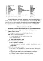 Referāts 'Sengrieķu dzīves gudrība', 8.