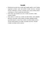 Referāts 'Virtuālā universitāte', 5.