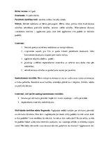 Konspekts 'Roku vingrinājumi pirmsskolas vecuma bērniem vizuālajā mākslā', 4.