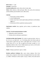 Konspekts 'Roku vingrinājumi pirmsskolas vecuma bērniem vizuālajā mākslā', 7.