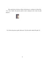 Referāts 'Zelta griezums', 15.