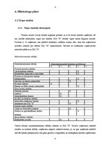 Biznesa plāns 'Atpūtas komplekss SIA "X"', 9.