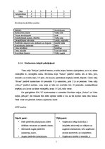 Biznesa plāns 'Atpūtas komplekss SIA "X"', 11.