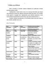 Biznesa plāns 'Atpūtas komplekss SIA "X"', 15.