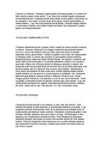 Konspekts 'Eiropas viduslaiku kultūra', 7.