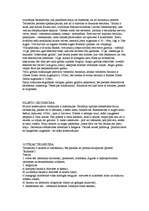 Konspekts 'Eiropas viduslaiku kultūra', 13.