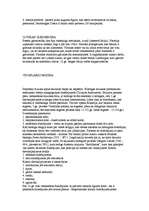 Konspekts 'Eiropas viduslaiku kultūra', 14.