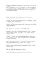 Konspekts 'Eiropas viduslaiku kultūra', 23.