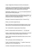 Konspekts 'Eiropas viduslaiku kultūra', 25.