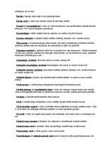 Konspekts 'Pamatjēdzieni latviešu valodā', 6.