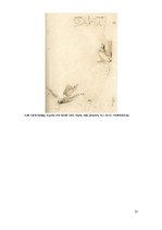 Referāts 'Kārļa Padega grafika', 12.