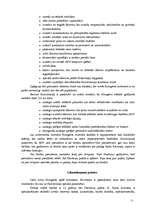 Referāts 'ASV valdība un politiskā struktūra', 11.