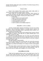 Referāts 'ASV valdība un politiskā struktūra', 17.