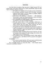 Referāts 'ASV valdība un politiskā struktūra', 19.