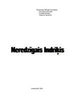 Konspekts 'Neredzīgais Indriķis', 1.