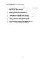 Prakses atskaite 'Prakse SIA "Moms"', 13.