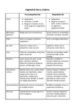 Konspekts 'Fizioloģijas pamati - nervu un asins sistēmas', 3.