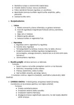 Konspekts 'Fizioloģijas pamati - nervu un asins sistēmas', 6.